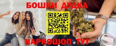 стаф Лесосибирск