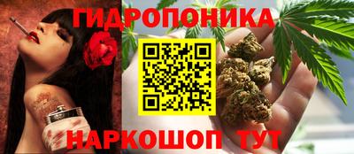 стаф Лесосибирск