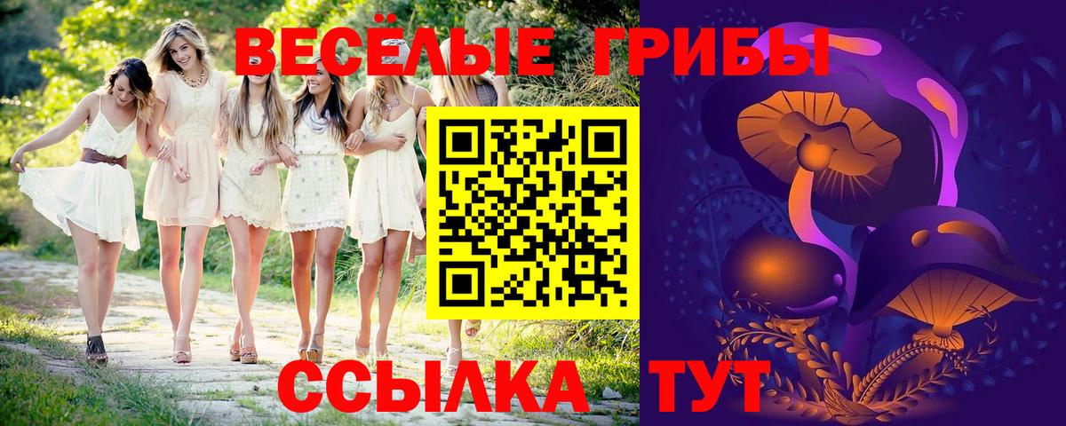 Димитровград  Галлюциногенные грибы Cubensis  Вход с VPN 