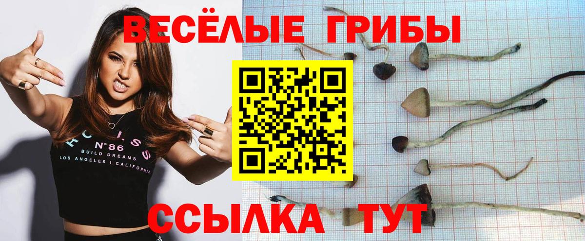 Псилоцибиновые грибы мухоморы Димитровград