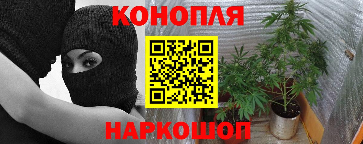 Димитровград  Каннабис планчик  Бошки марихуана THC 21%  Бошки Шишки тримм  Вход с VPN 